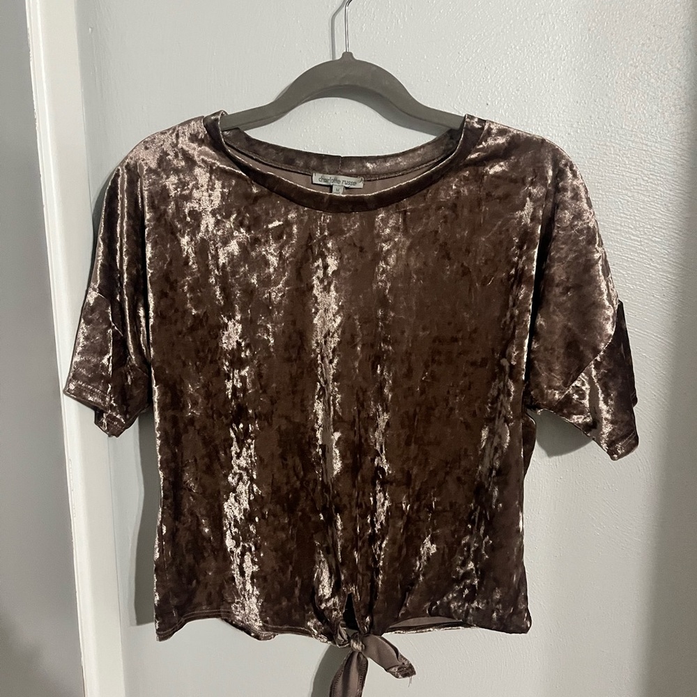 Charlotte Russe Medium Velvet Crop Top
